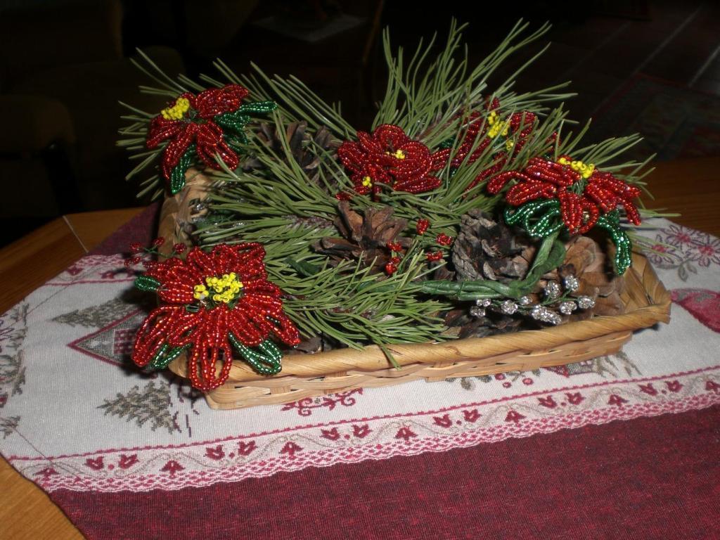 Hotel Villa Ines Borca di Cadore Εξωτερικό φωτογραφία